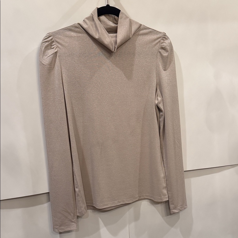 Ann Taylor Shimmering Blush Turtleneck Top